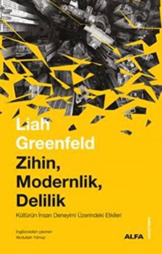 Zihin, Modernlik, Delilik - 1