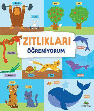 Zıtlıkları Öğreniyorum - 1